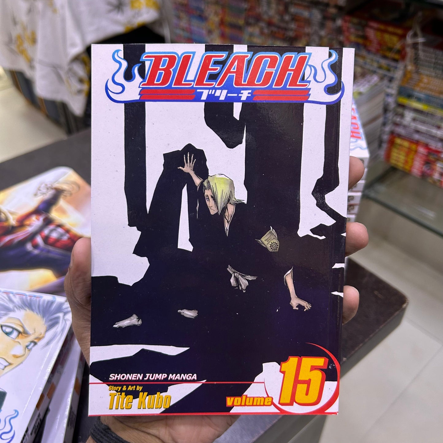 Bleach Manga Volume 15