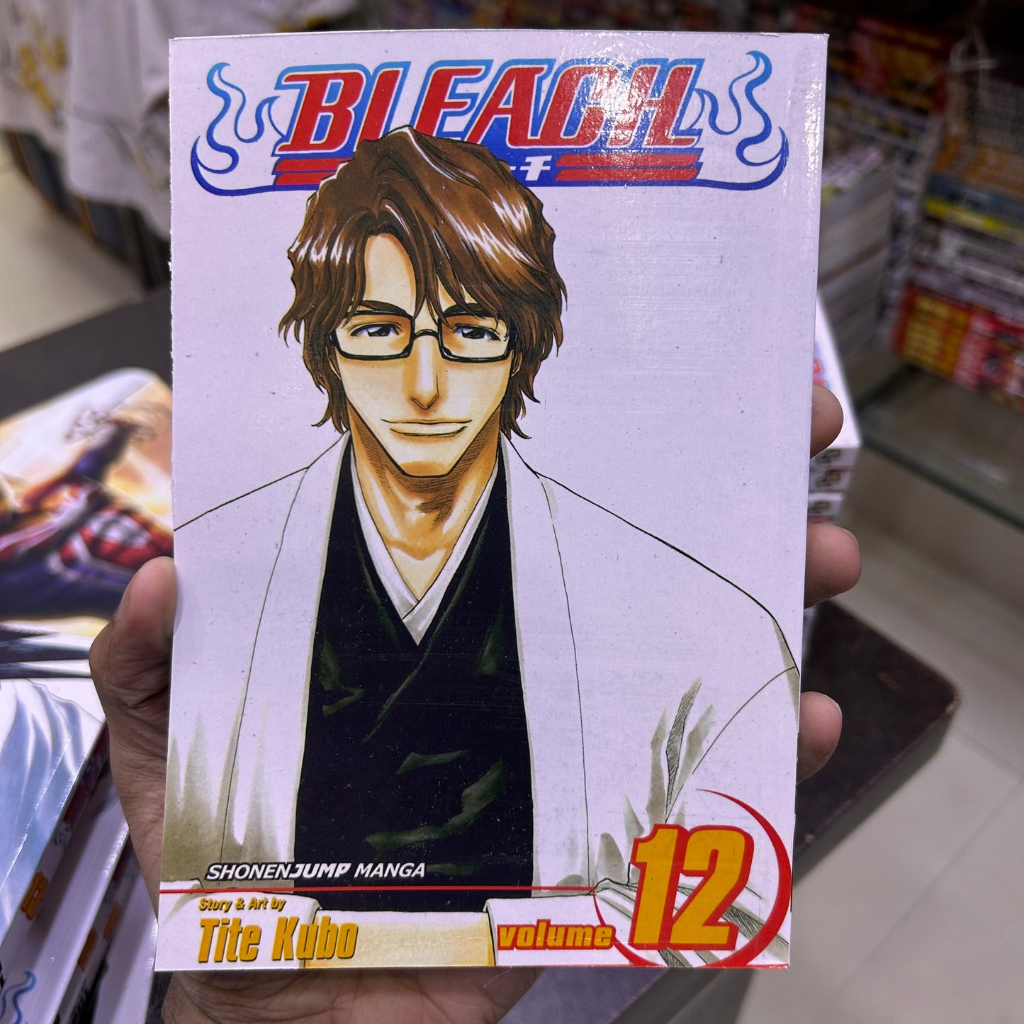 Bleach Manga Volume 12