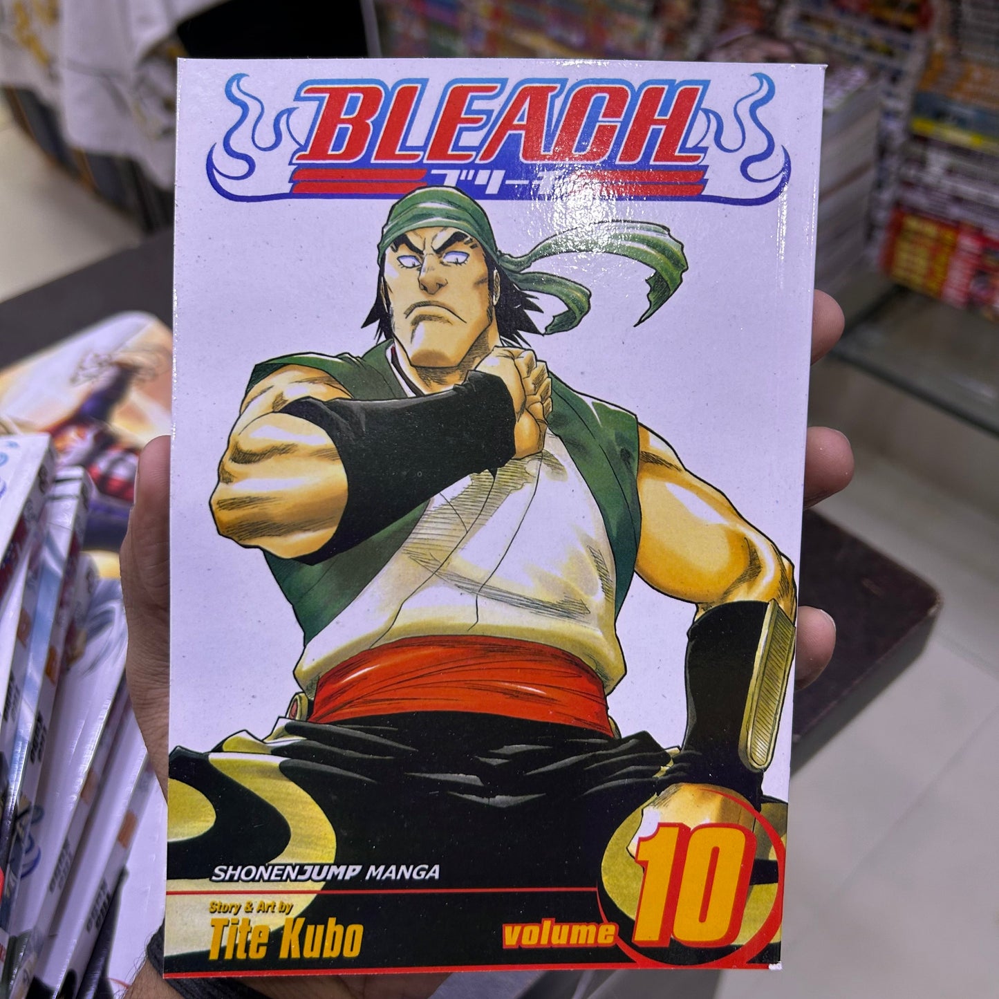 Bleach Manga Volume 10