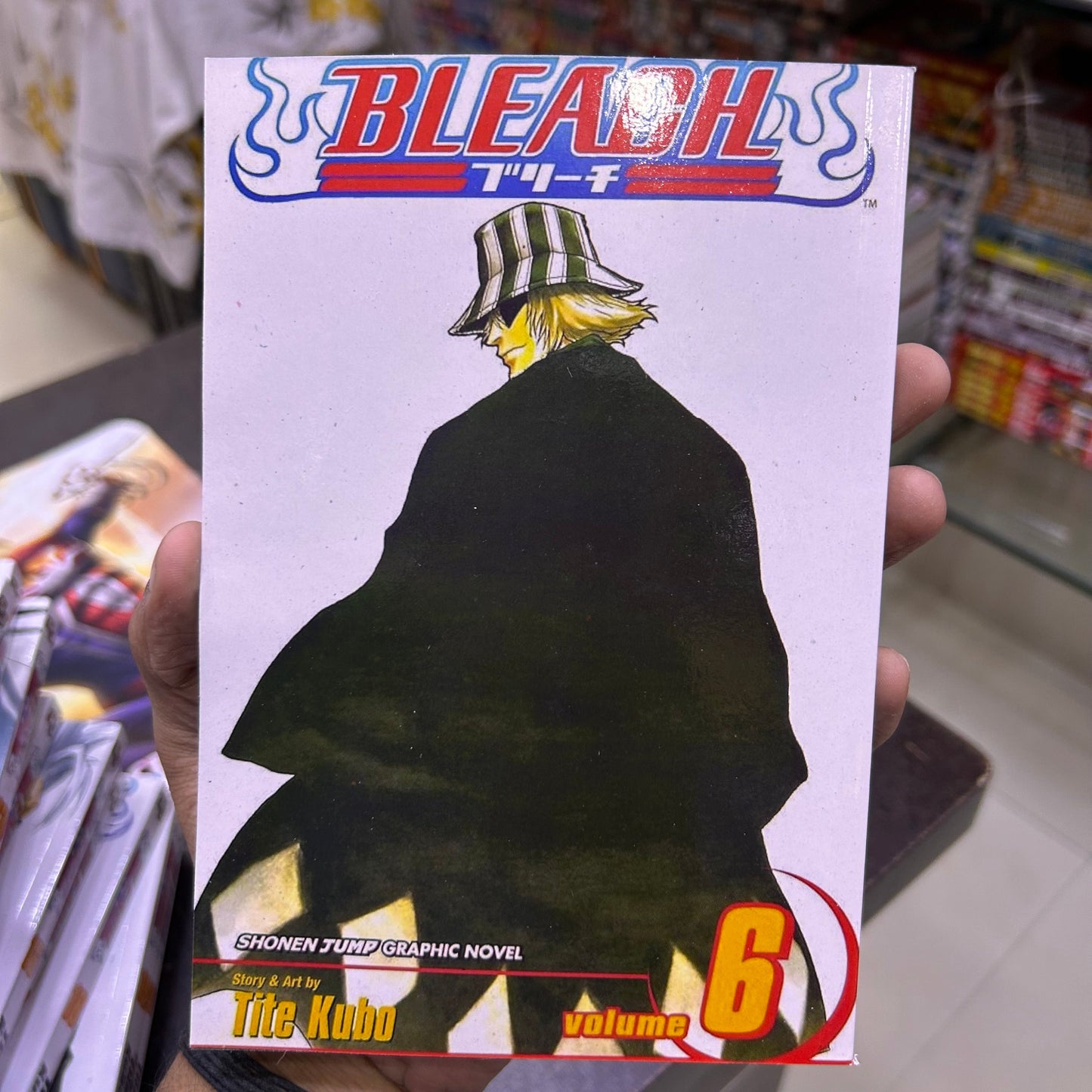 Bleach Manga Volume 6