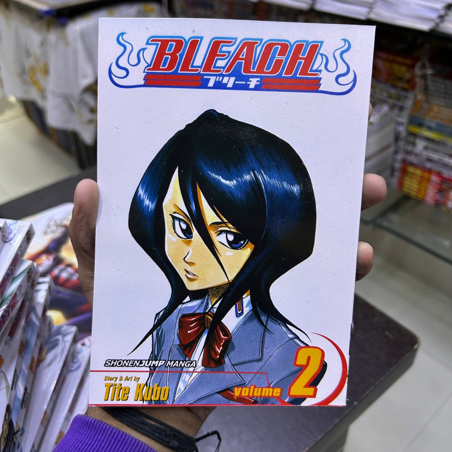 Bleach Manga Volume 2