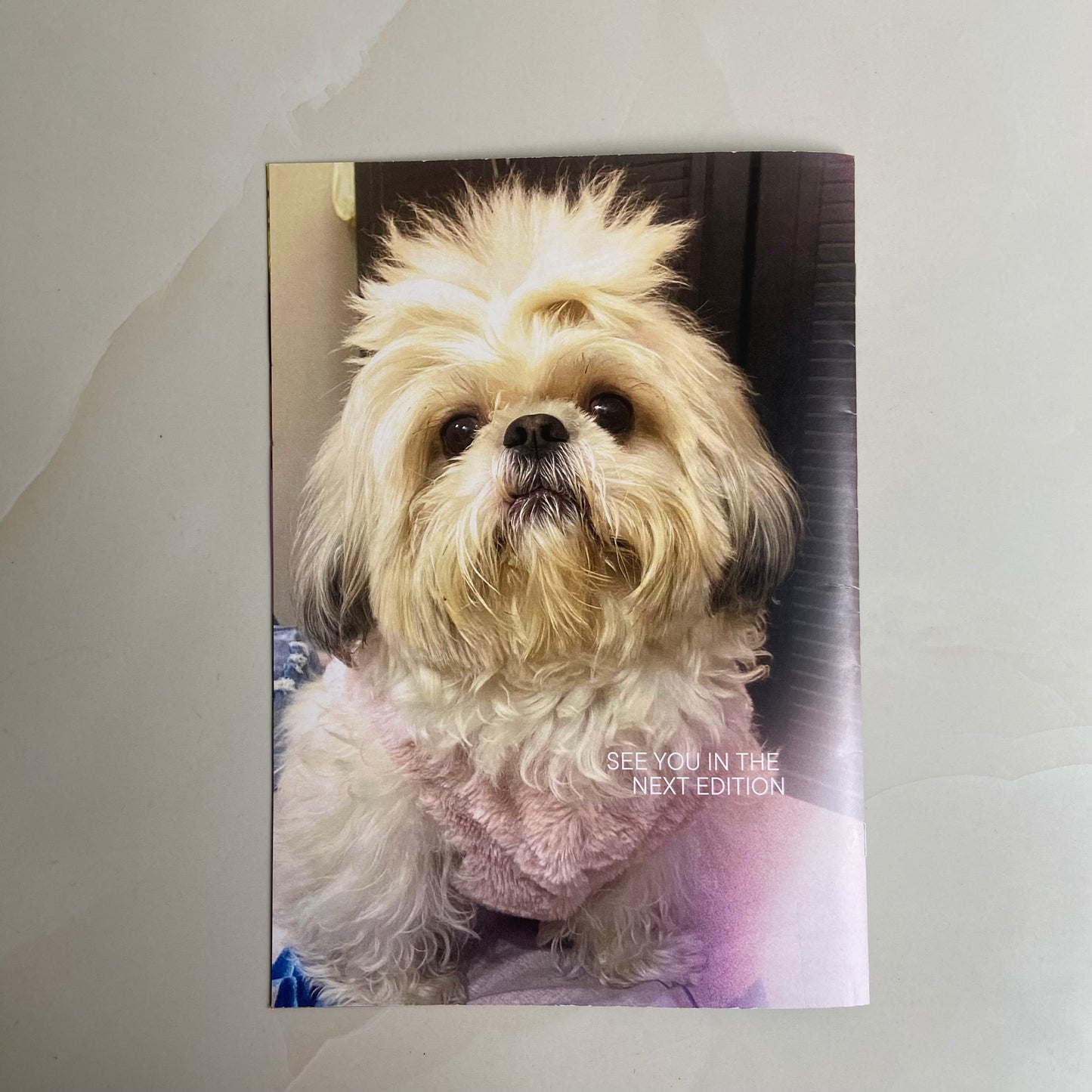 Customised Pet Magazine