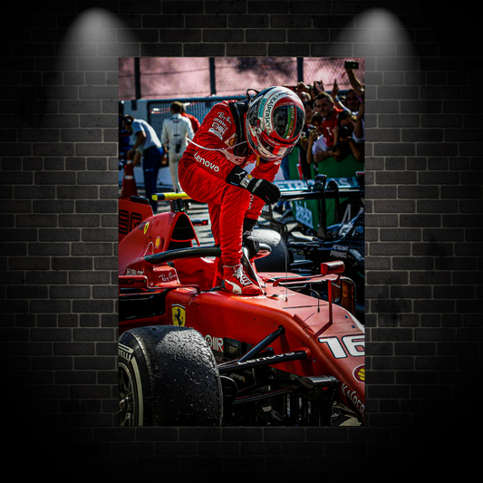 F1 Driver Poster