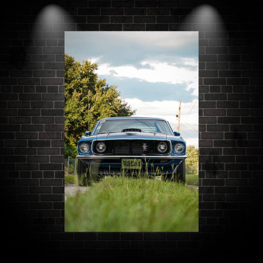 Mustang Poster