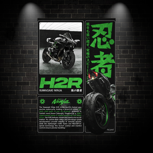 Kawasaki Ninja Poster