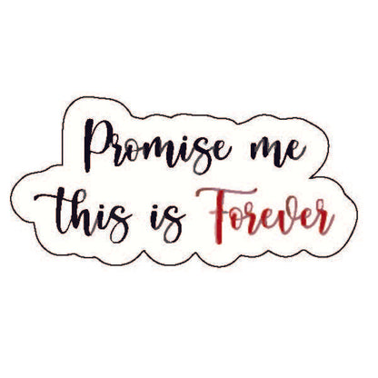 Promise Me this is forever Sticker