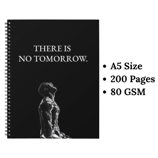 trying wiro notebook