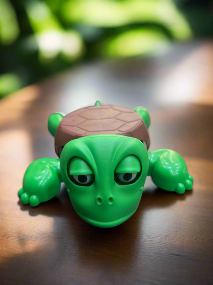 Turtle Coaster- Eye Popping