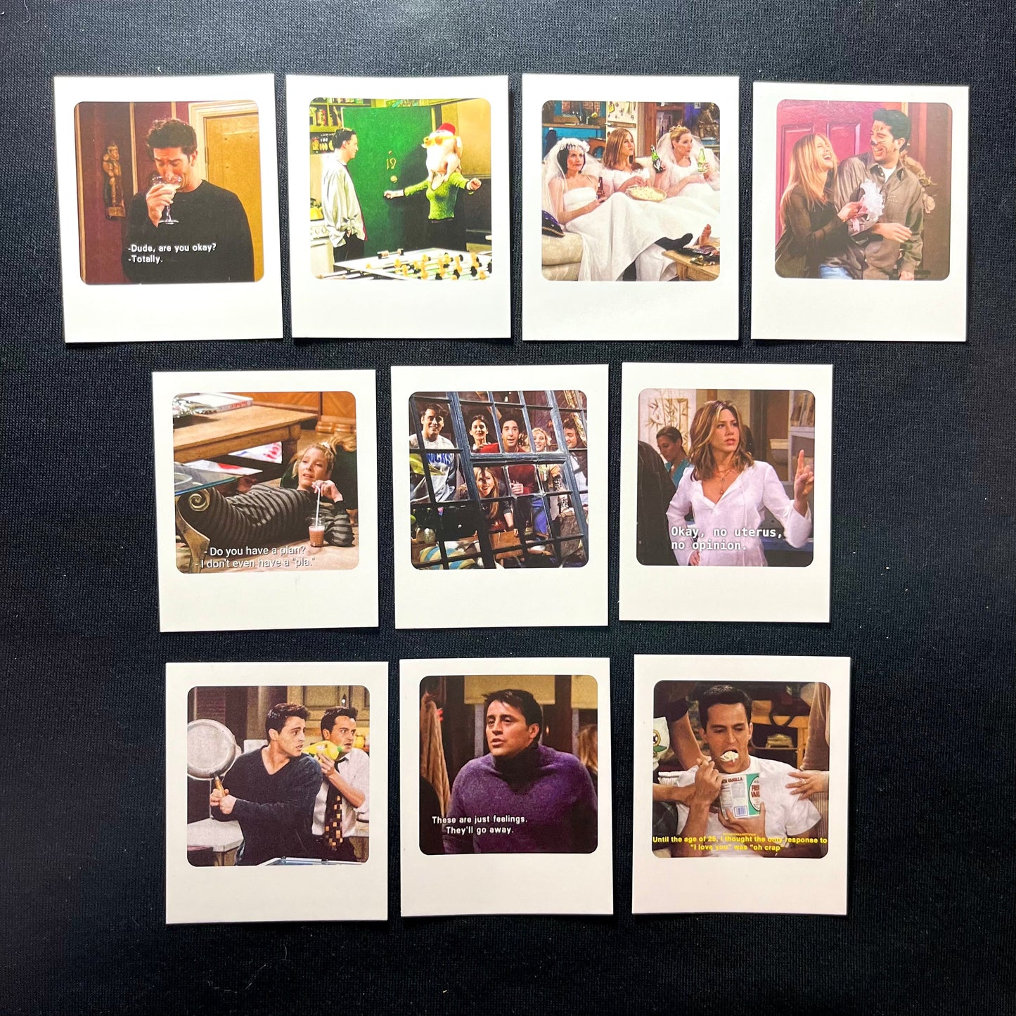 F.R.I.E.N.D.S. Polarides