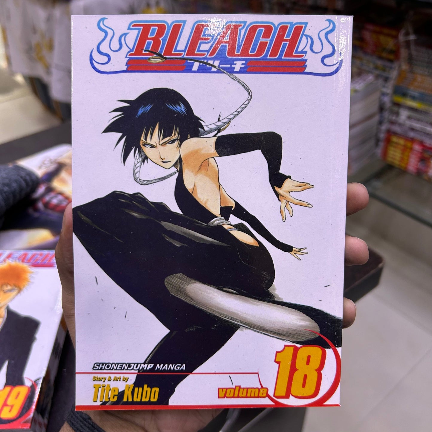 Bleach Manga Volume 18