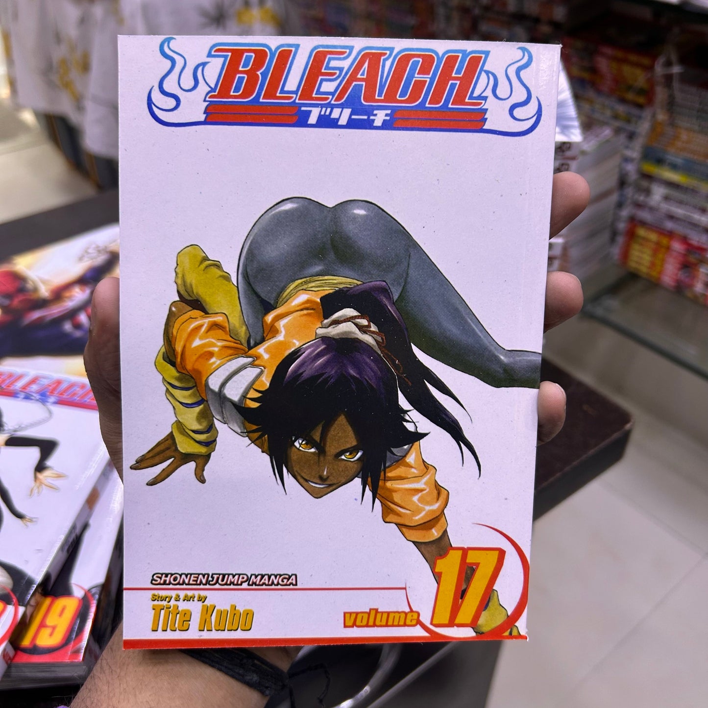 Bleach Manga Volume 17