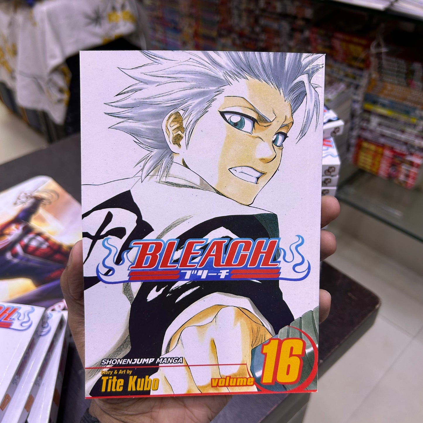 Bleach Manga Volume 16
