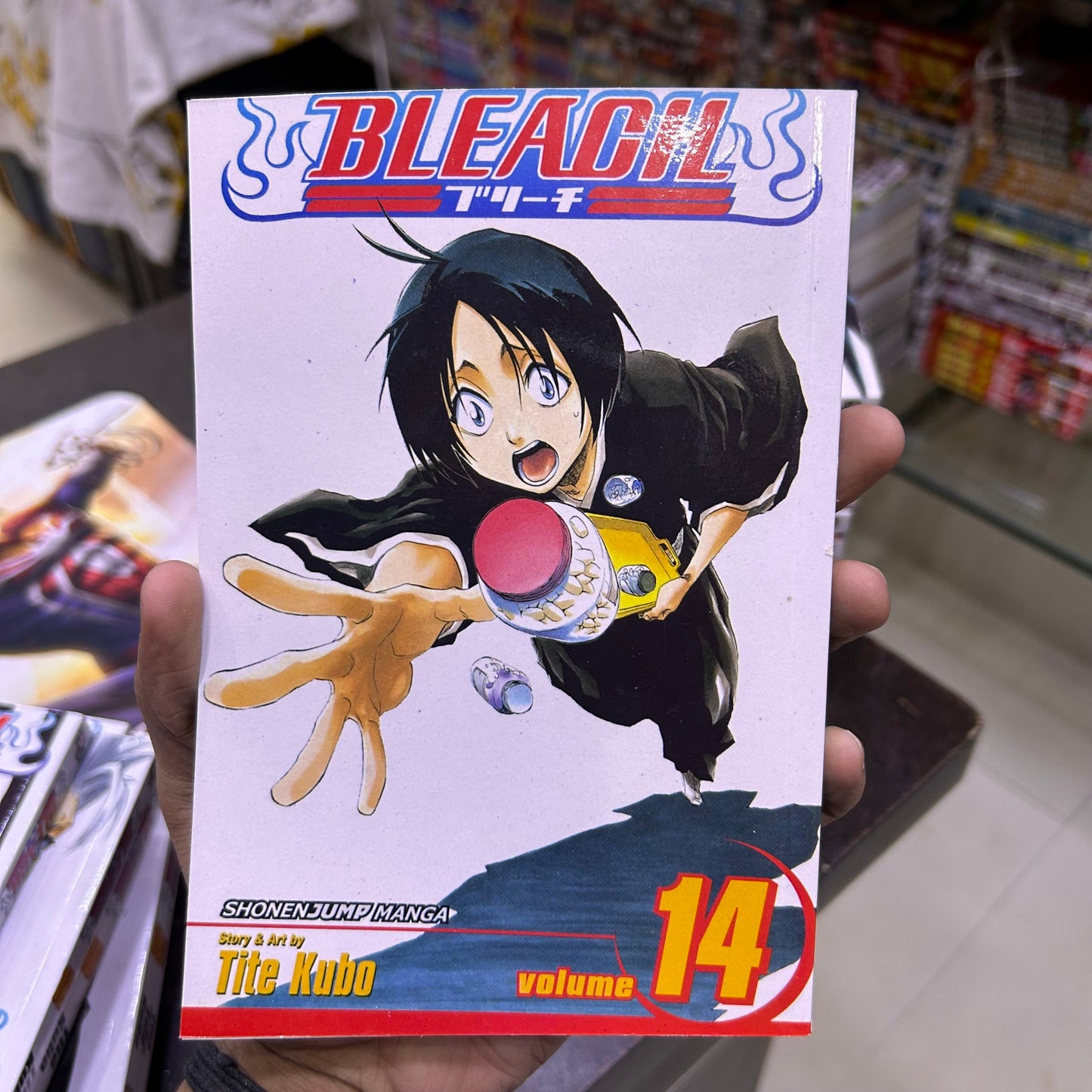 Bleach Manga Volume 14
