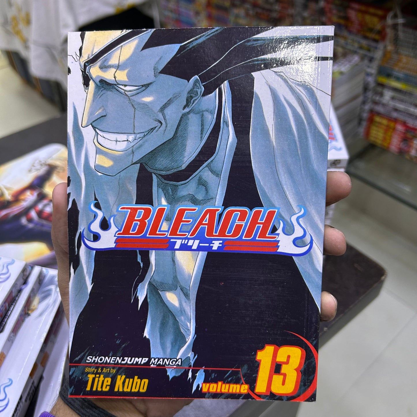 Bleach Manga Volume 13