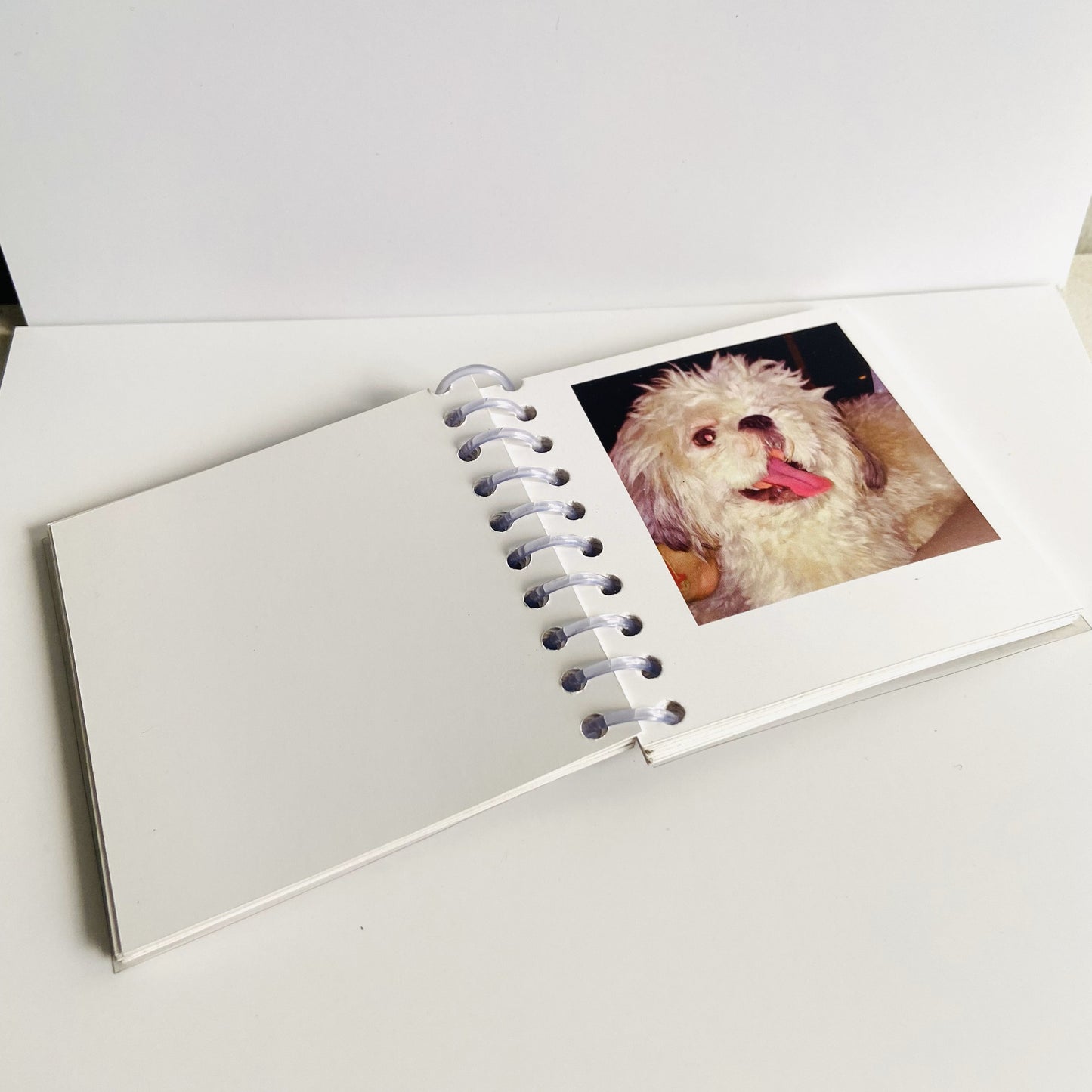 Custom Pictures Snapbook