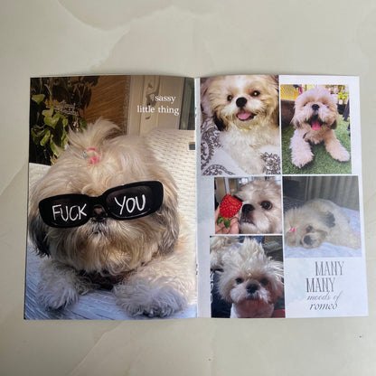 Customised Pet Magazine
